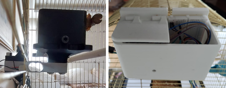 Budgie Feeder System